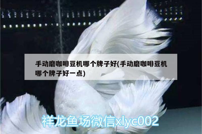 紅龍魚用黃燈烤有用嗎 手動磨咖啡豆機哪個牌子好(手動磨咖啡豆機哪個牌子好一點) 馬來西亞咖啡 手動磨咖啡豆機哪個牌子好(手動磨咖啡豆機哪個牌子好一點) 手動磨咖啡豆機哪個牌子好(手動磨咖啡豆機哪個牌子好一點) 馬來西亞咖啡