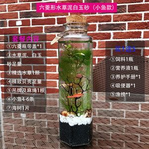 diy魚缸換水：diy魚缸換水的方法和注意事項和注意事項和注意事項