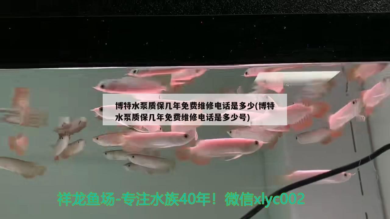 博特水泵質(zhì)保幾年免費(fèi)維修電話是多少(博特水泵質(zhì)保幾年免費(fèi)維修電話是多少號(hào))