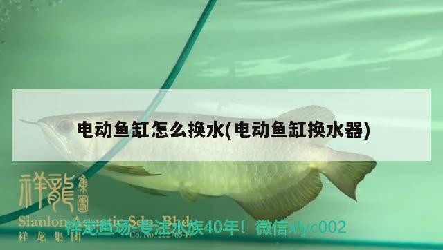 電動魚缸怎么換水(電動魚缸換水器)