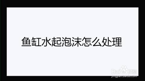 創(chuàng)寧水泵一代和二代哪個好些呢（創(chuàng)寧水泵一代和二代哪個好些呢視頻） 創(chuàng)寧水泵一代和二代哪個好些呢（創(chuàng)寧水泵一代和二代哪個好些呢視頻） 創(chuàng)寧水族