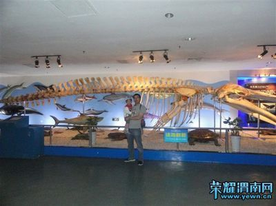 渭南水族館vs祥龍魚場（渭南水族館和祥龍魚場各有側重）