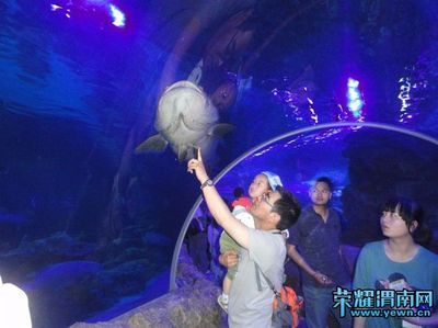 渭南水族館vs祥龍魚場（渭南水族館和祥龍魚場各有側重）