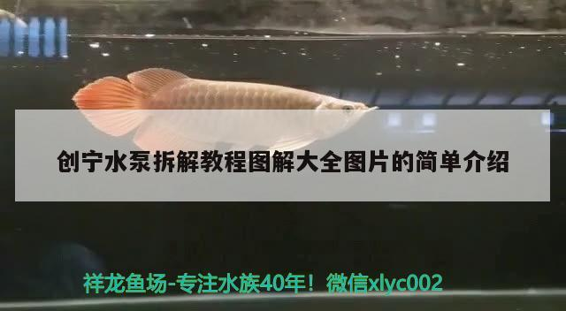 創(chuàng)寧水泵拆解教程圖解大全圖片的簡單介紹