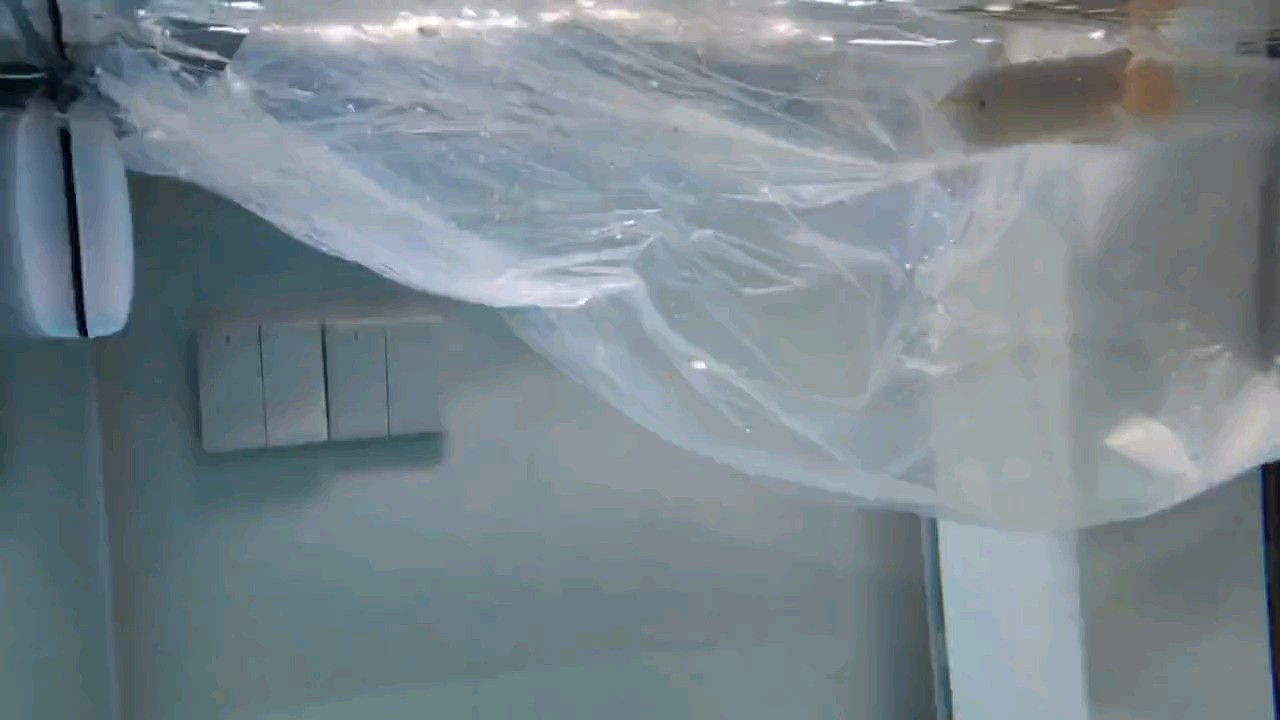 小龍魚變大龍魚，一年好快。 小龍魚變大龍魚，一年好快。 龍魚論壇