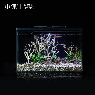 30厘米魚缸怎么造景圖片：30厘米魚缸造景技巧