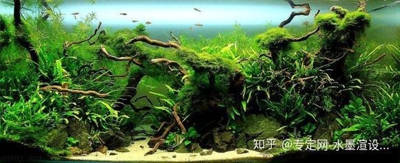 天津市北辰區久金林水族器材銷售中心