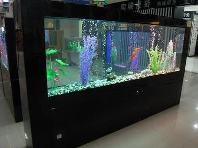 50厘米魚缸價格及圖片：50厘米魚缸價格