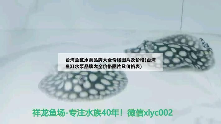 龍魚水泵什么牌子好用vs祥龍魚場：如何選擇適合龍魚的水泵