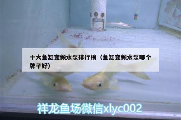 創(chuàng)寧水泵為什么貴一點(diǎn)（創(chuàng)寧水泵為什么貴一點(diǎn)呢）