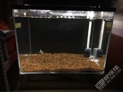 成品上濾魚缸拆掉上蓋：成品上濾魚缸上蓋拆除方法