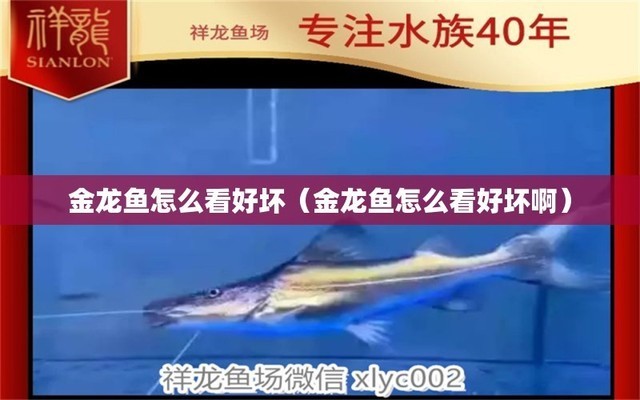 創寧變頻水泵使用說明書圖解（創寧變頻水泵使用說明書圖解大全）