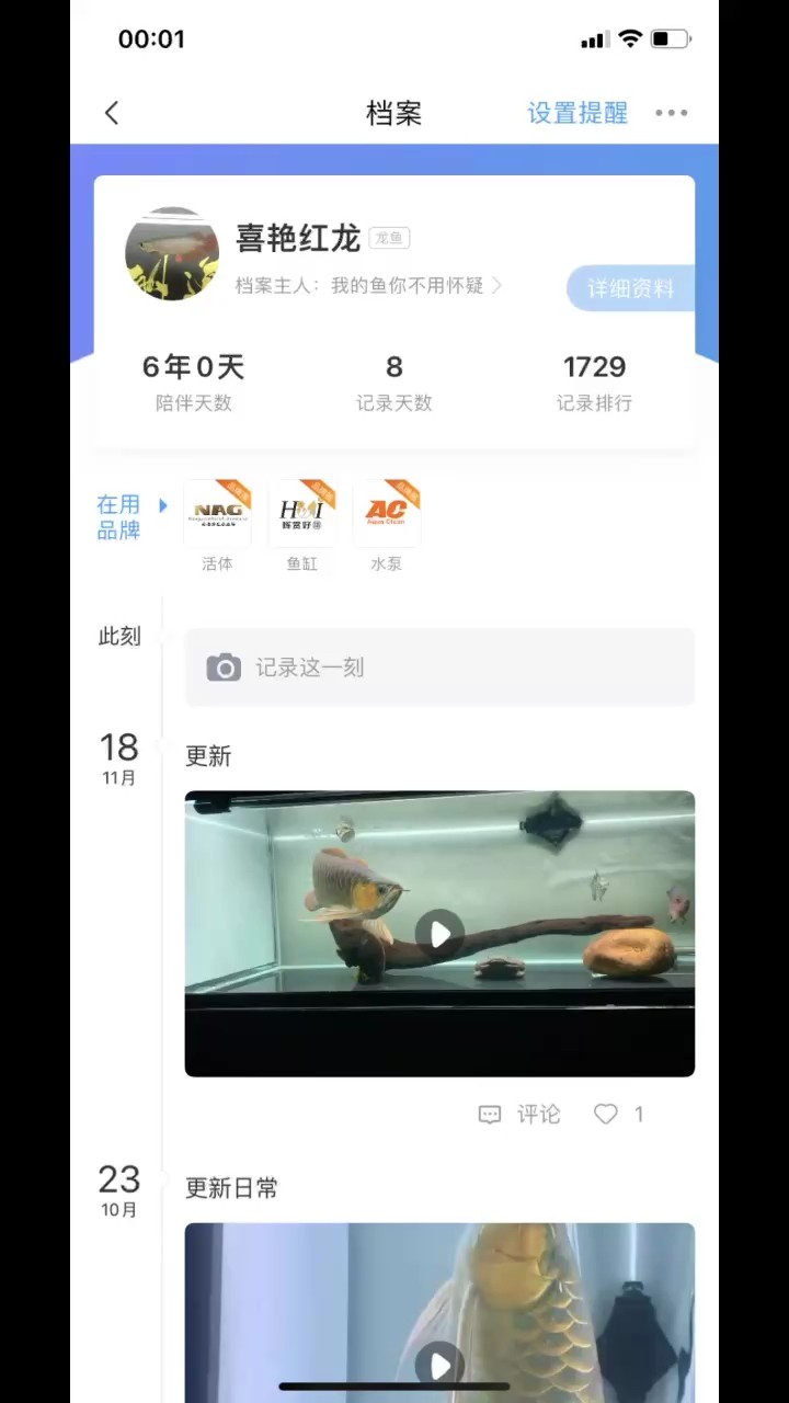 回首 回首 龍魚論壇