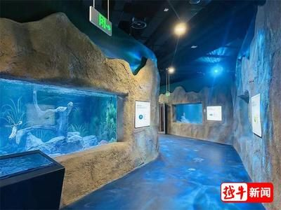 紹興水族館vs祥龍魚場（紹興水族館與祥龍魚場各有側重）