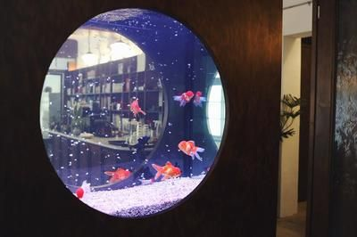 帶我去魚缸咖啡館是什么歌：“帶我去魚缸咖啡館”的歌曲，王源的歌曲，
