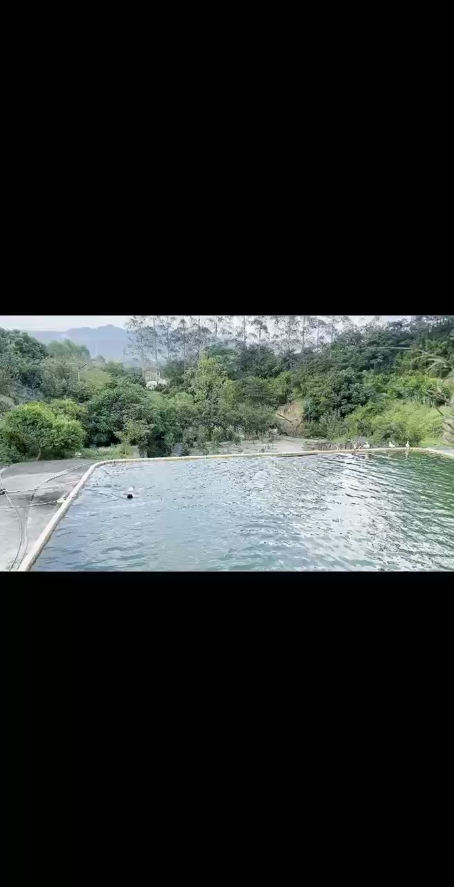 魚為靈 水為財 風(fēng)生水起福自來 魚為靈 水為財 風(fēng)生水起福自來 龍魚論壇