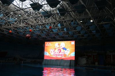 連云港水族館vs祥龍魚場（探討連云港水族館與祥龍魚場之間的差異之前需要明確兩者的基本信息和特點）