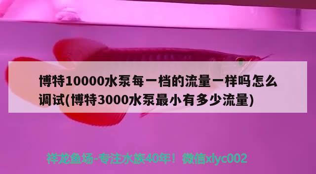 博特10000水泵每一檔的流量一樣嗎怎么調試(博特3000水泵最小有多少流量)
