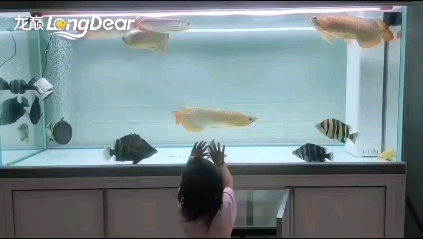 轉發525