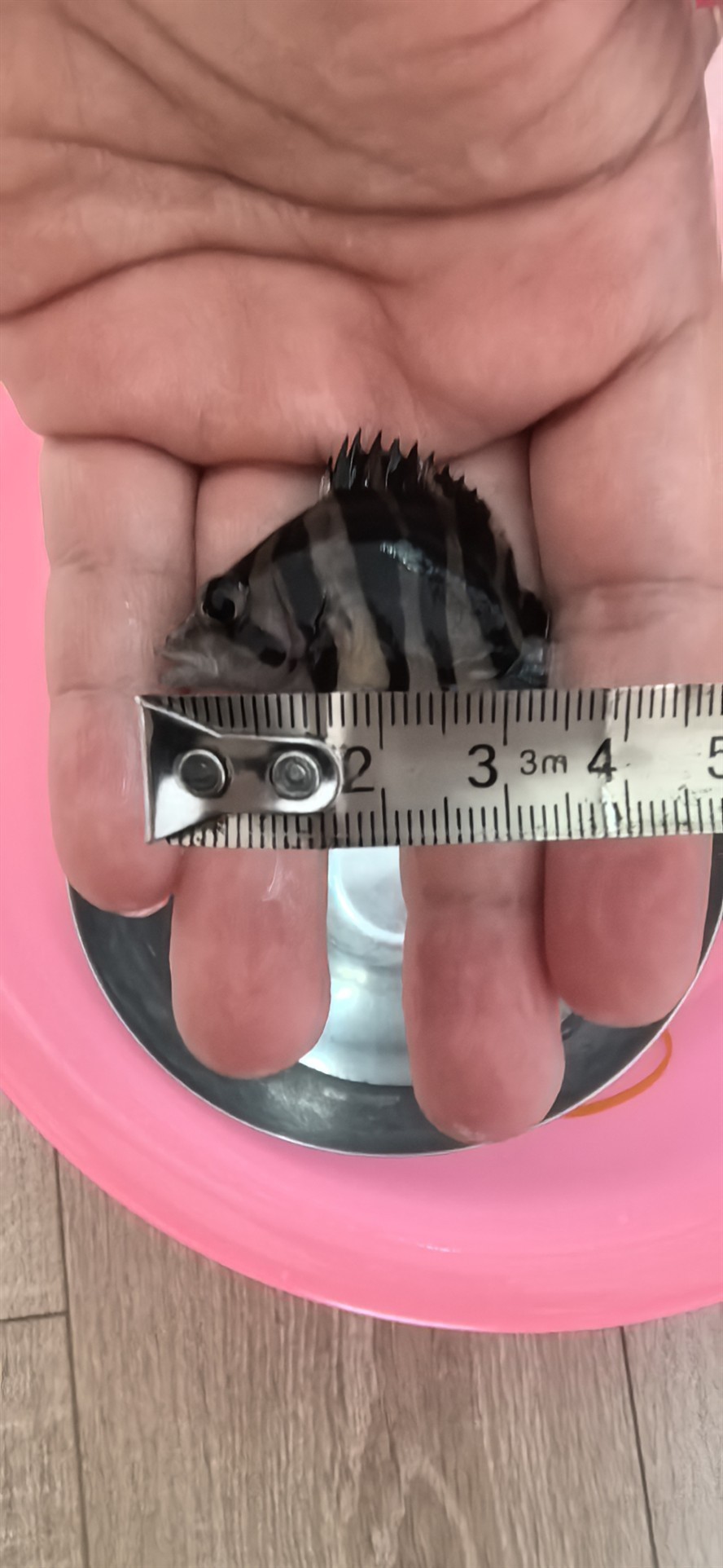 菏澤哪里賣魚缸好一點的地方（長沙的創意家居飾品店有哪些是上了檔次的）