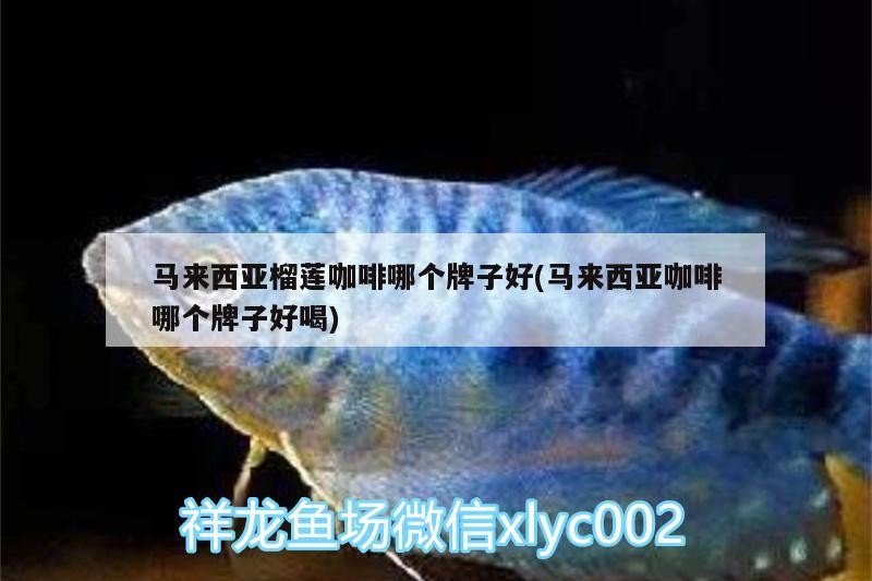 馬來西亞榴蓮咖啡哪個牌子好(馬來西亞咖啡哪個牌子好喝)