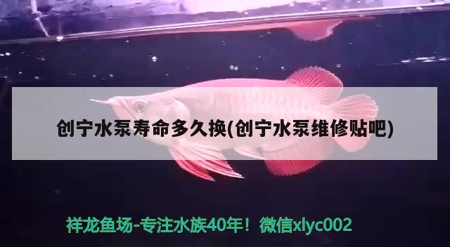 創寧水泵壽命多久換(創寧水泵維修貼吧)
