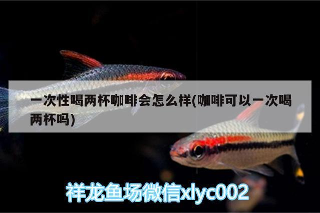 一次性喝兩杯咖啡會怎么樣(咖啡可以一次喝兩杯嗎) 馬來西亞咖啡 第2張 一次性喝兩杯咖啡會怎么樣(咖啡可以一次喝兩杯嗎) 一次性喝兩杯咖啡會怎么樣(咖啡可以一次喝兩杯嗎) 馬來西亞咖啡 第2張