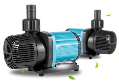 1.7米魚缸用多大泵：1.7米魚缸用多大水泵 1.7米魚缸用多大泵：1.7米魚缸用多大水泵 魚缸百科 第3張