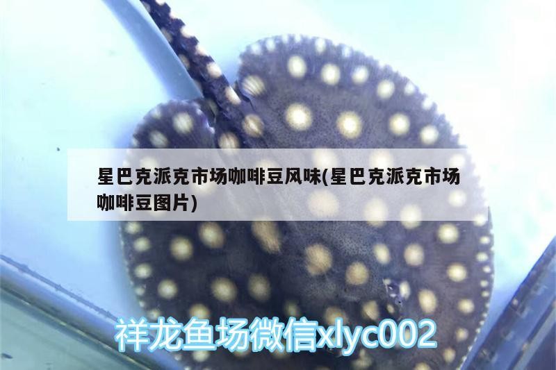 星巴克派克市場咖啡豆風味(星巴克派克市場咖啡豆圖片) 星巴克派克市場咖啡豆風味(星巴克派克市場咖啡豆圖片) 馬來西亞咖啡