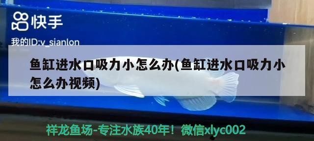 七里河區海森水族店（七里河區海森水族店電話） 七里河區海森水族店（七里河區海森水族店電話） 全國水族館企業名錄 第3張