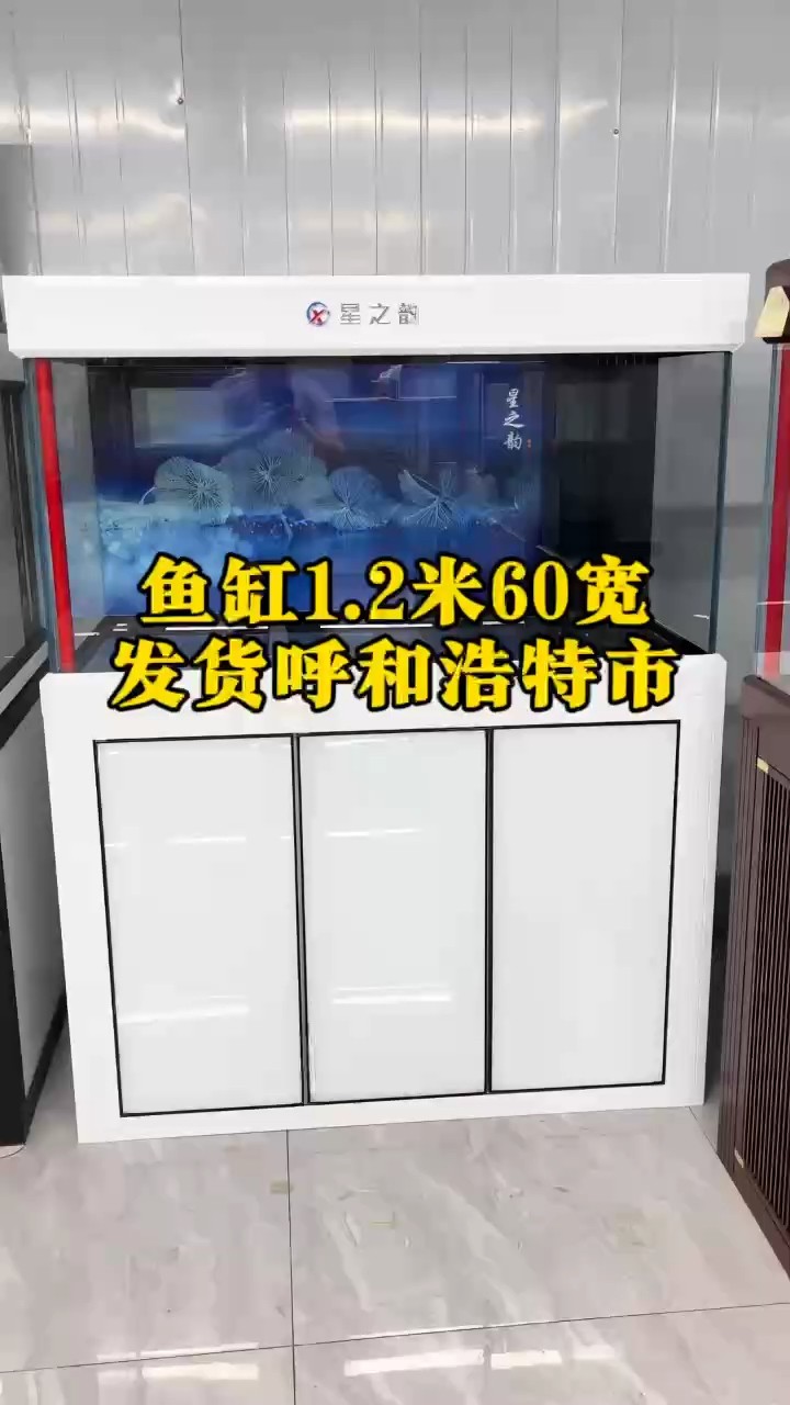 魚缸1.2米60寬輕奢款魚缸，超白魚缸、