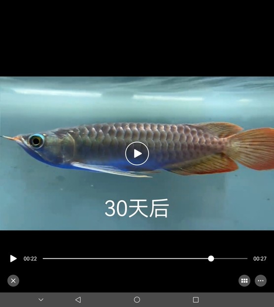 加了點科技大家看一下 有什么差別嗎
