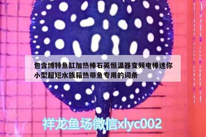 包含博特魚缸加熱棒石英恒溫器變頻電棒迷你小型超短水族箱熱帶魚專用的詞條