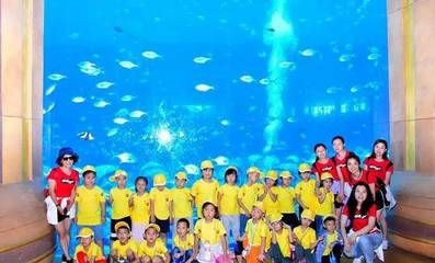 樂山水族館vs祥龍魚場（樂山水族館與祥龍魚場有什么區別？）