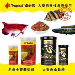 虎魚吃飼料么：虎魚可以吃人工飼料么，虎魚可以吃飼料么，虎魚吃飼料么