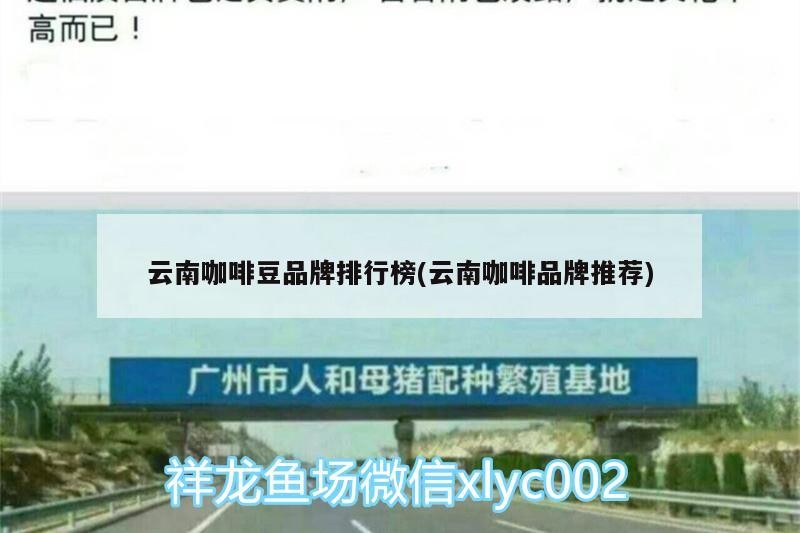 云南咖啡豆品牌排行榜(云南咖啡品牌推薦)