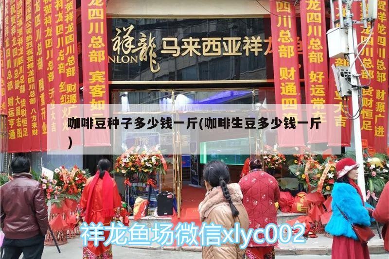 咖啡豆種子多少錢一斤(咖啡生豆多少錢一斤) 咖啡豆種子多少錢一斤(咖啡生豆多少錢一斤) 馬來西亞咖啡 第1張