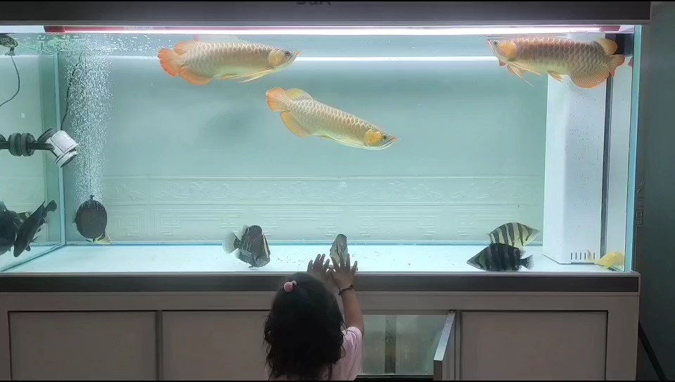 看著又大了些，打卡