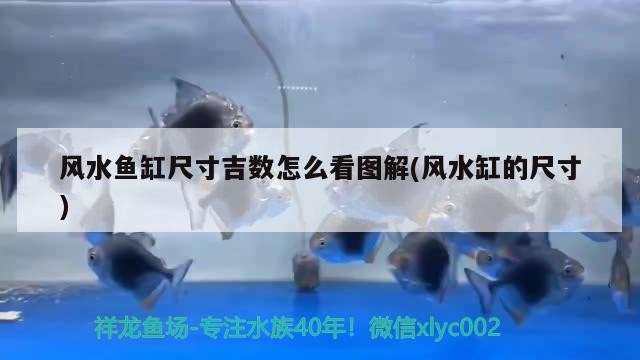 關于淮安魚缸定做店地址查詢電話的信息