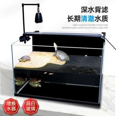 養虎魚需要多大的缸：養虎魚需要足夠大的魚缸并且要考慮魚的活動空間以及水質調控的需要