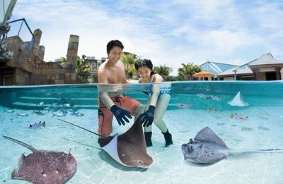 魟魚在水面上游什么意思啊視頻教學：“魟魚在水面上游什么意思啊視頻教學”視頻教學