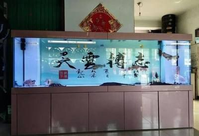 新缸多久可以養魟魚：新缸養魟魚的時間要求