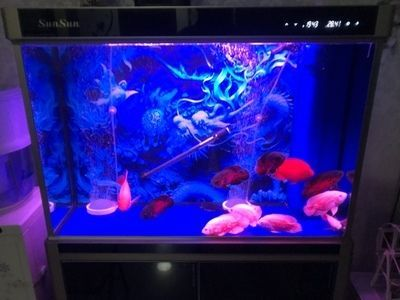 森森魚缸燈光顏色設(shè)置