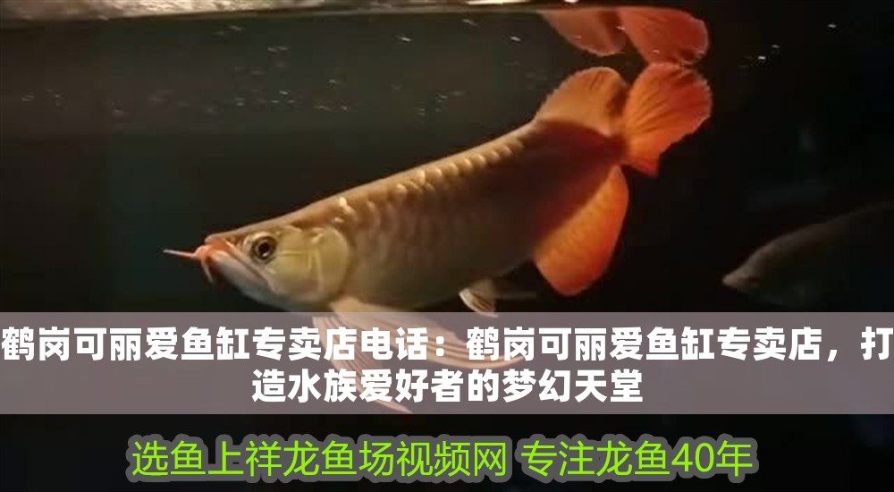 鶴崗可麗愛魚缸專賣店電話：鶴崗可麗愛魚缸專賣店，打造水族愛好者的夢幻天堂 鶴崗可麗愛魚缸專賣店電話：鶴崗可麗愛魚缸專賣店，打造水族愛好者的夢幻天堂 iwish愛唯希品牌魚缸 第1張