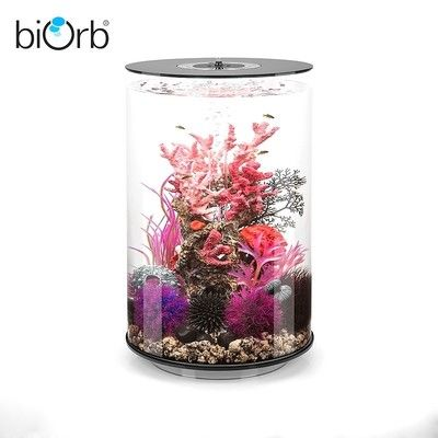 30L魚缸每天幾度電：一個30l的魚缸每天的耗電量大概多少？ 30L魚缸每天幾度電：一個30l的魚缸每天的耗電量大概多少？ 魚缸百科 第1張