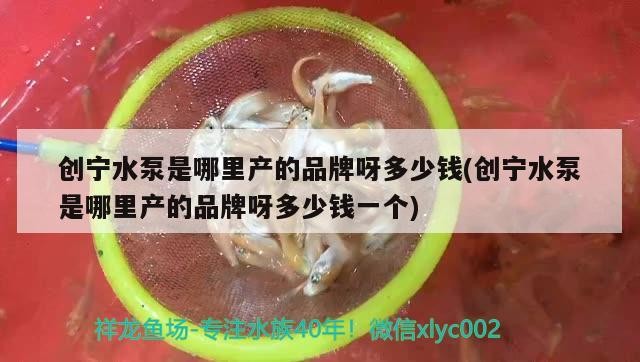 創寧水泵是哪里產的品牌呀多少錢(創寧水泵是哪里產的品牌呀多少錢一個)