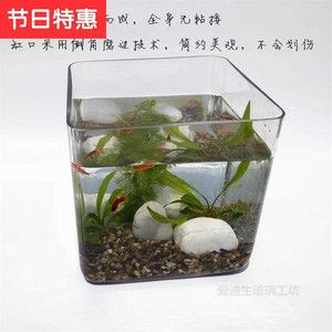 大型玻璃魚缸粘接方法：diy大型玻璃魚缸粘接方法