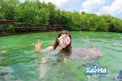 如何判斷魟魚(yú)飽腹感：判斷魟魚(yú)是否飽腹可以通過(guò)觀察其行為和生理狀態(tài)來(lái)進(jìn)行
