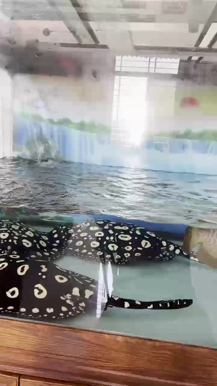 別聽“專家”的，換水就得狠