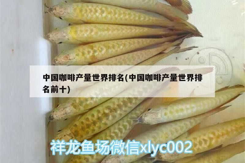 中國咖啡產量世界排名(中國咖啡產量世界排名前十)